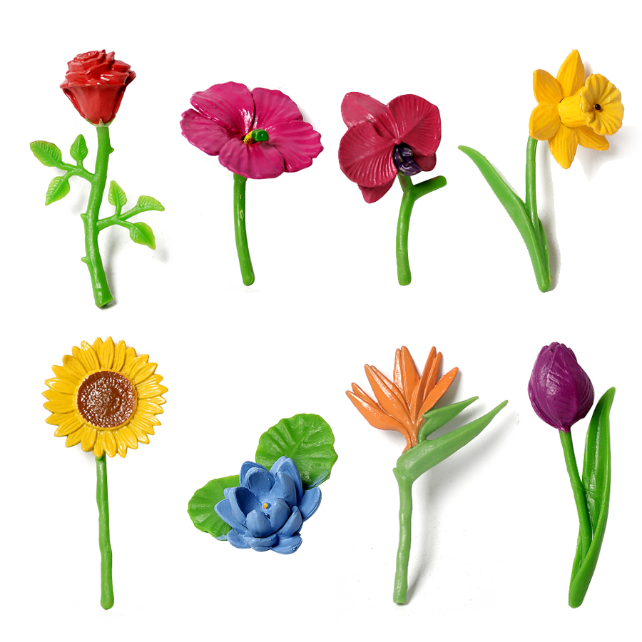Kids Education Shows - Montessori Materials Realistic Fresh bouquet Flowers