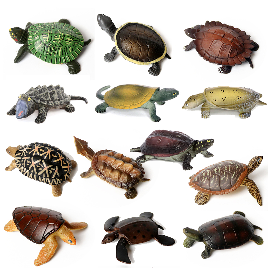 Kids Education Shows - Realistic Plastic Sea Turtle Lifelike Tortoises