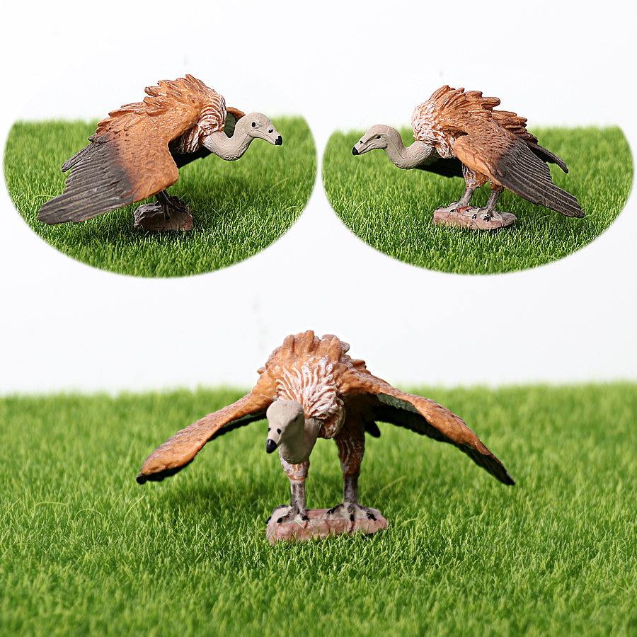 Realistic Plastic Birds of Pre - Kids Education Shows recensione e prezzo