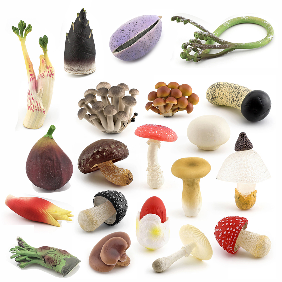 Simulation Vegetable Plant Mus - Kids Education Shows recensione e prezzo