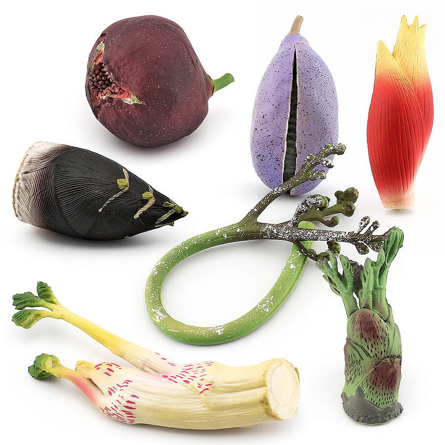 Simulation Vegetable Plant Mus - Kids Education Shows recensione e prezzo