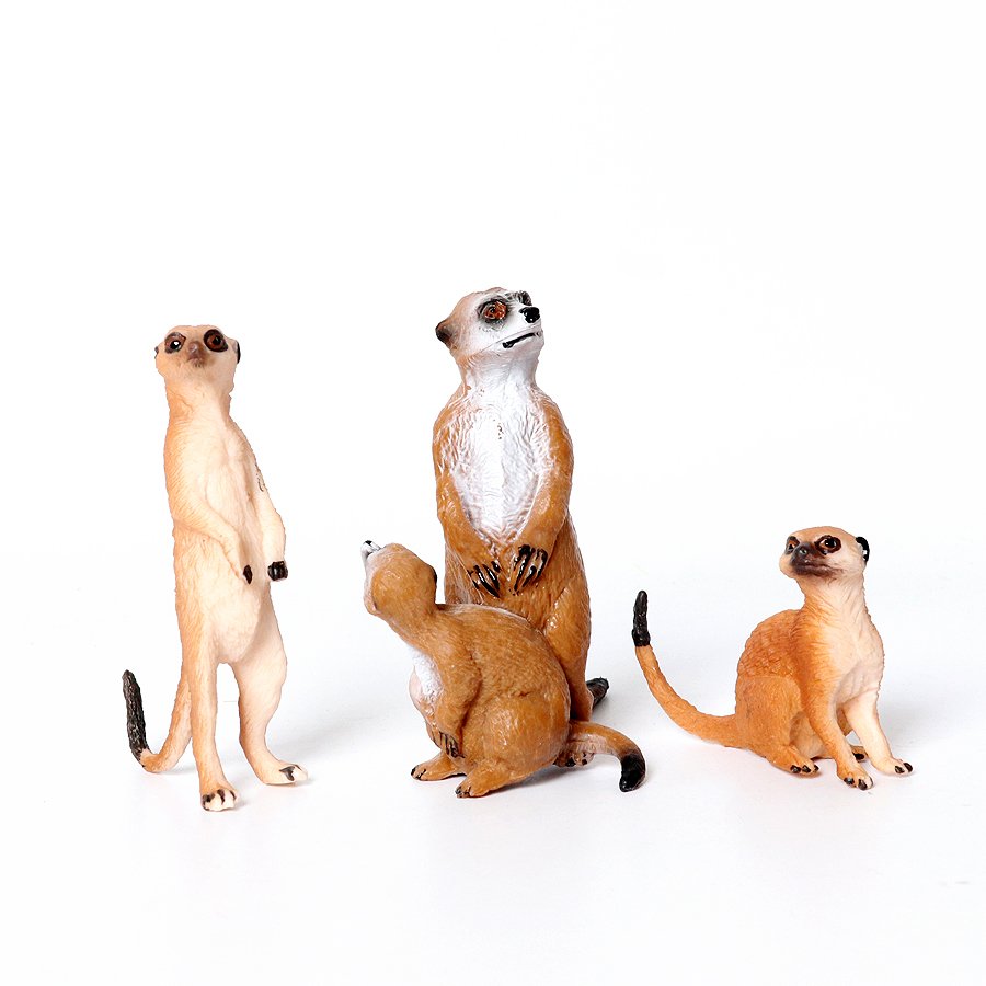 Realistic Woodland Creatures F - Kids Education Shows recensione e prezzo